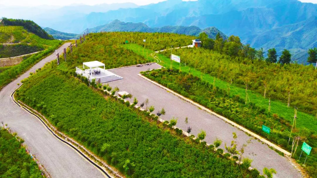 �����ϵV�I��˾���h���I���^鮺V�� ���۰lչ�����ܡ�