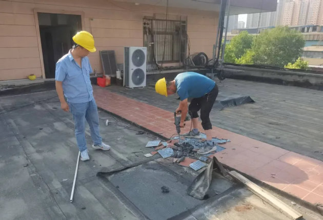 �t��������˾ȫ��������Ӗ�WУ���ھS�޸���o��