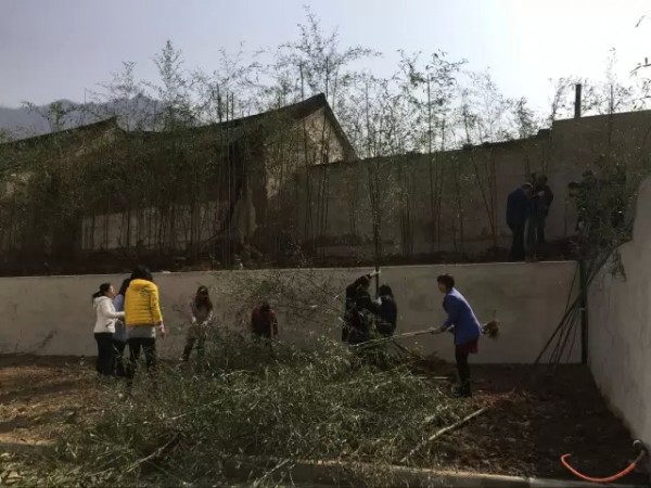 大西溝開展春季植樹綠化活動 大西溝開展春季植樹綠化活動