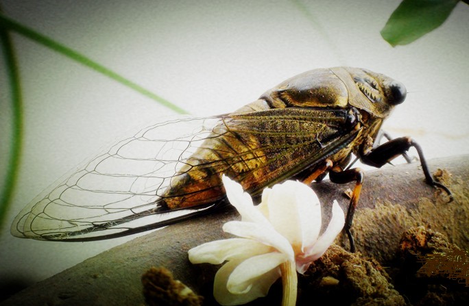 �� �� �S ��