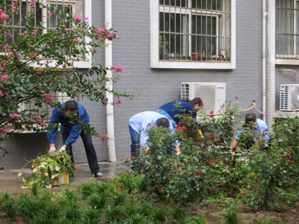 ���С�^�_չӭ���c �h���l�������λ��