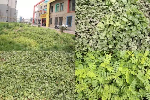 降本增效的制勝“法寶” 降本增效的制勝“法寶”