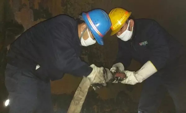 �A������Դ��˾�z�ެF��̎̎չ�L��