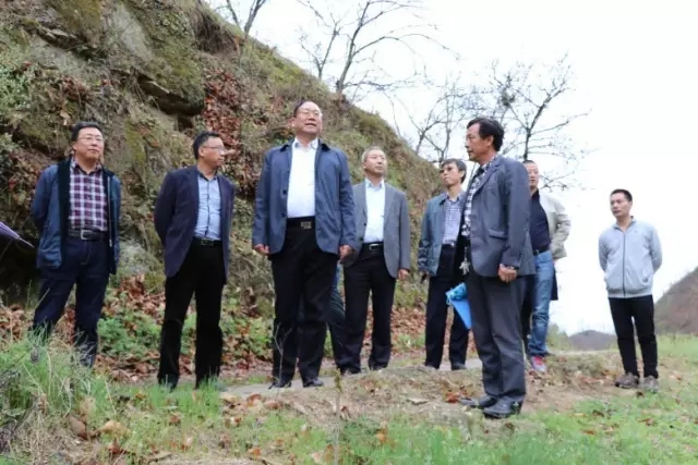 ��䓼��F�I���������ϵV�I(y��)��˾�{��ָ����Ԫ�a�I(y��)�l(f��)չ����