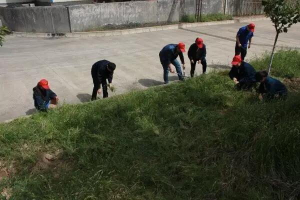 �����ϵV�I��˾����܈��˾�Fί�_չ�����ġ�ϵ�л��