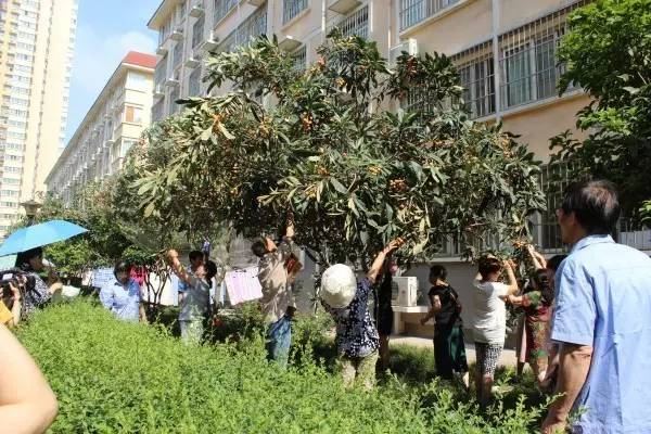 �ֵ����˳��켾���������I��˾�e�k�ڶ������˹�