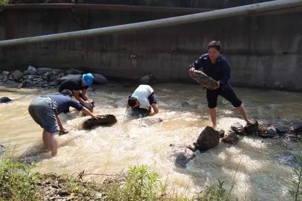 ���ء������h������ɫ��