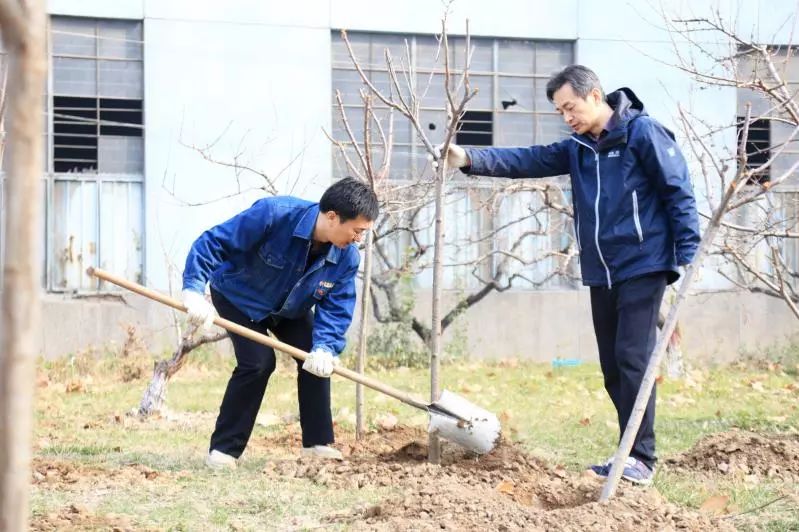 植樹育苗 綠化家園——西鋼、紅光物流公司開展春季植樹活動 植樹育苗 綠化家園——西鋼、紅光物流公司開展春季植樹活動