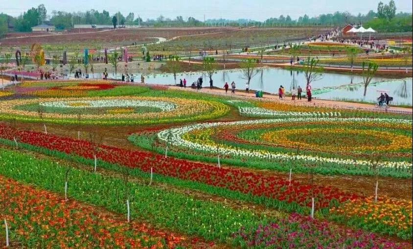 ٛ��õ�壬��������