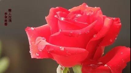 ٛ��õ�壬��������