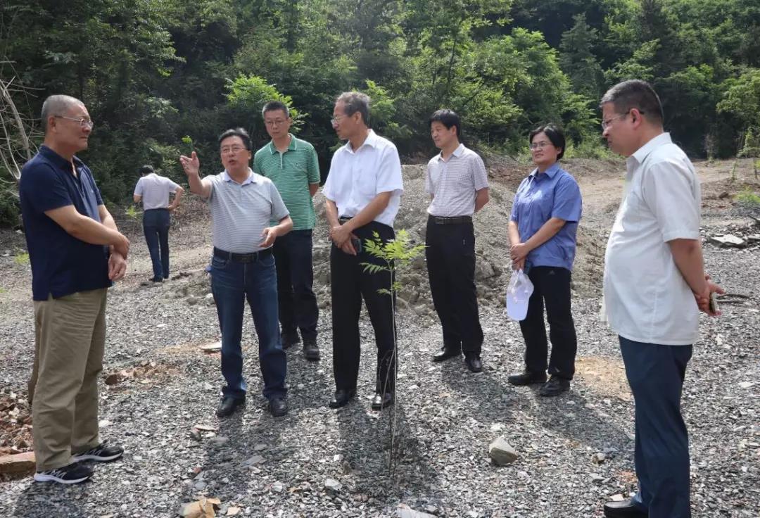 ������Ȼ�YԴ����ԃ�о������{�нM�������ϵV�I(y��)��˾�{��