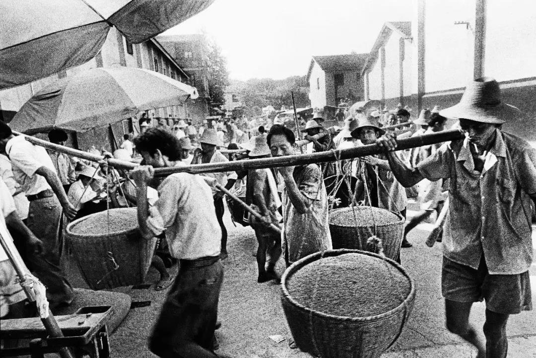 ���c���͇������L