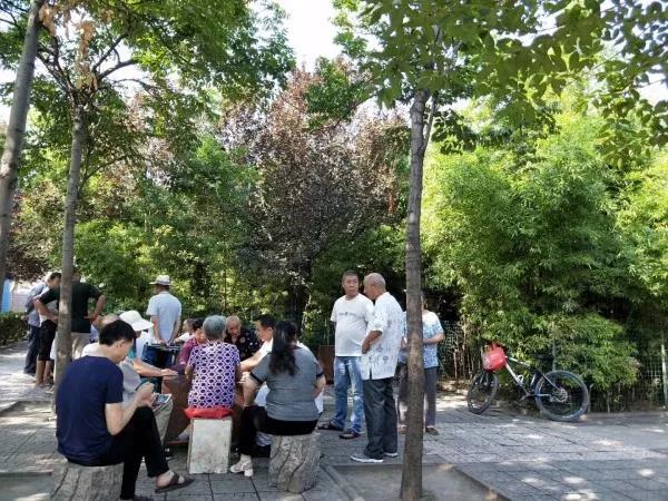 æ��͵�e���峿