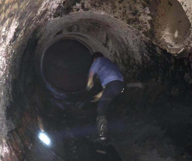 總有一種精神讓人肅然起敬 總有一種精神讓人肅然起敬