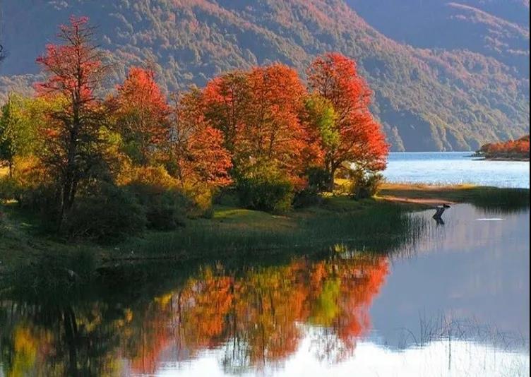 ���Lӭ�A�Q