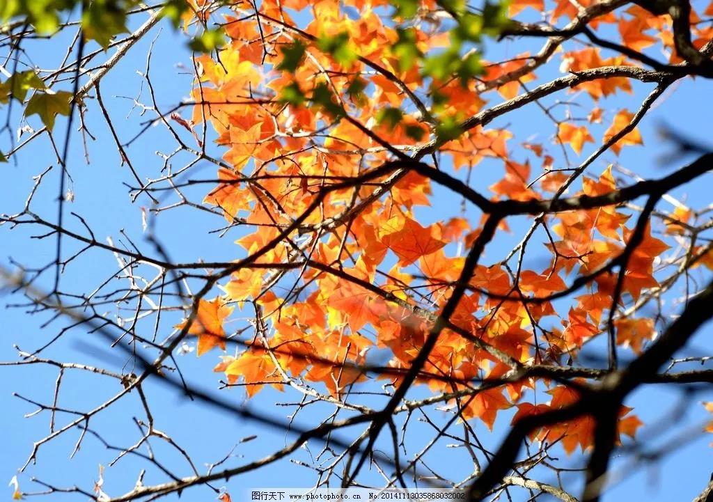 ���Lӭ�A�Q