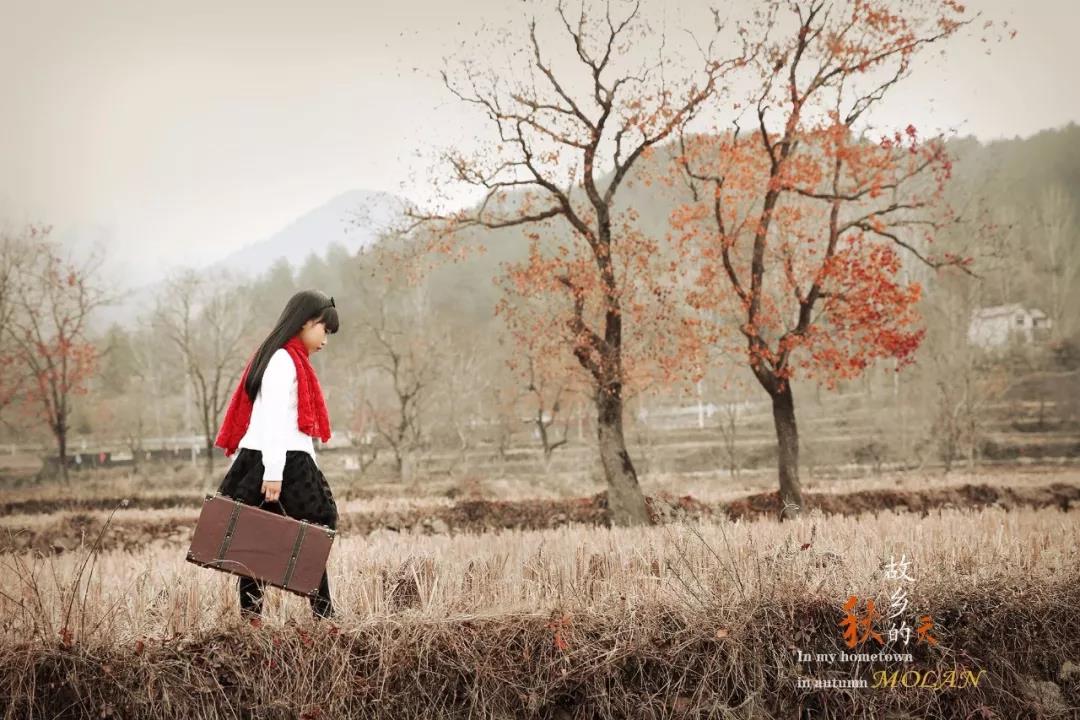 ���l����