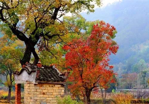 ���l����