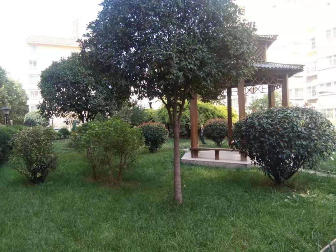 �@�^����⡡̎̎����