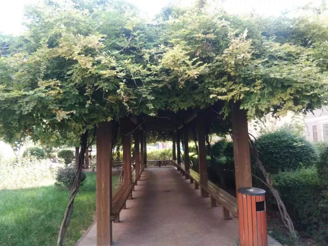 �@�^����⡡̎̎����