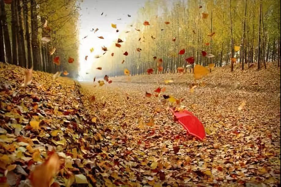 �� �L(f��ng)