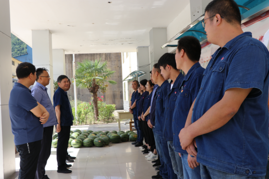 ������������� �z�z�P��ϵ����