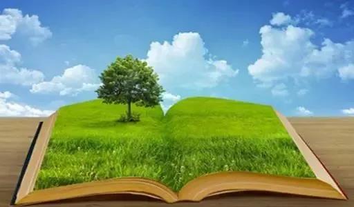 �����ϵV�I��˾�_չ�k���^��h���l��������������