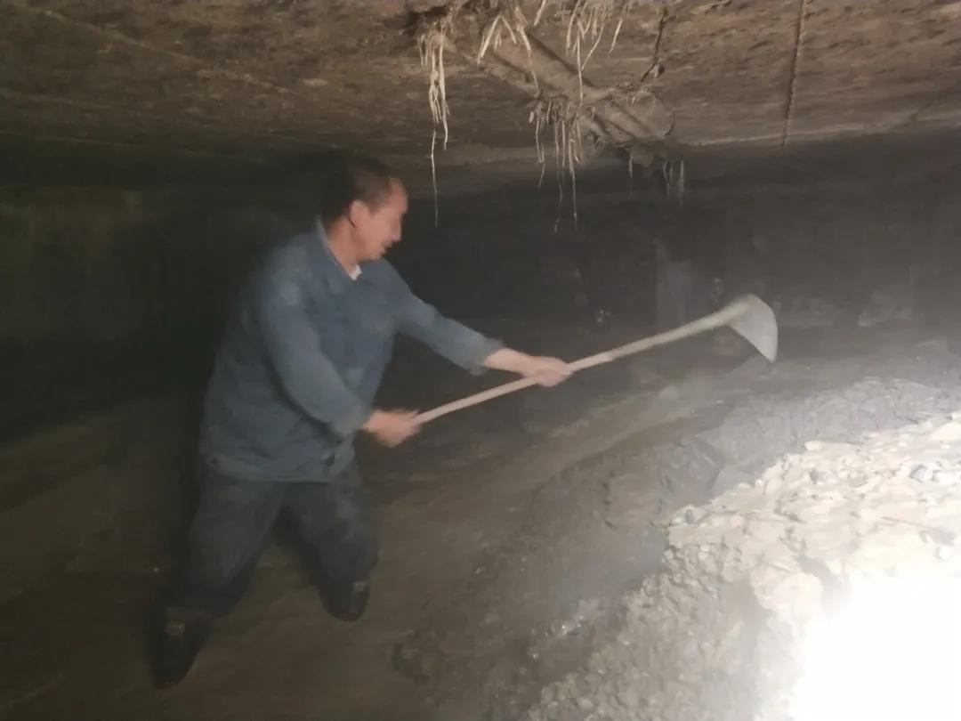 �����������C��������